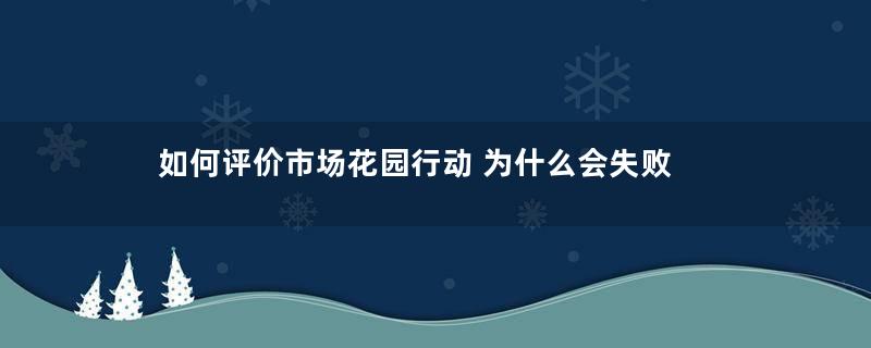 如何评价市场花园行动 为什么会失败